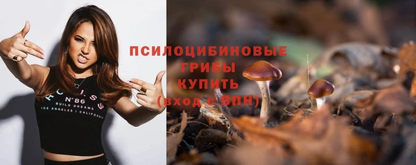 тгк Инта