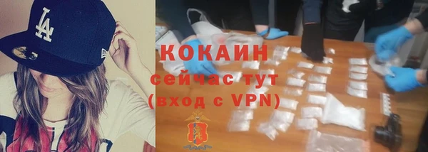 тгк Инта