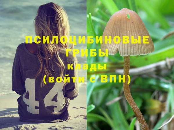 гидра Карпинск
