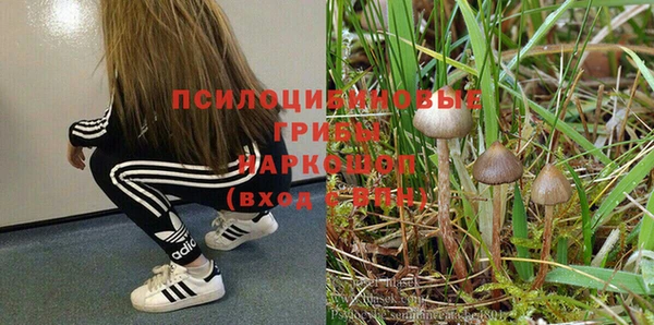 прущая мука Каменногорск