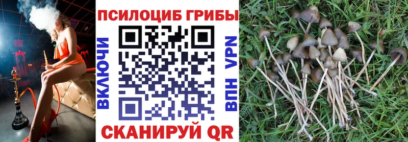 Галлюциногенные грибы MAGIC MUSHROOMS  mega сайт  Кириши 