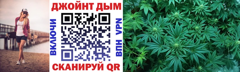 Бошки марихуана сатива  Кириши 